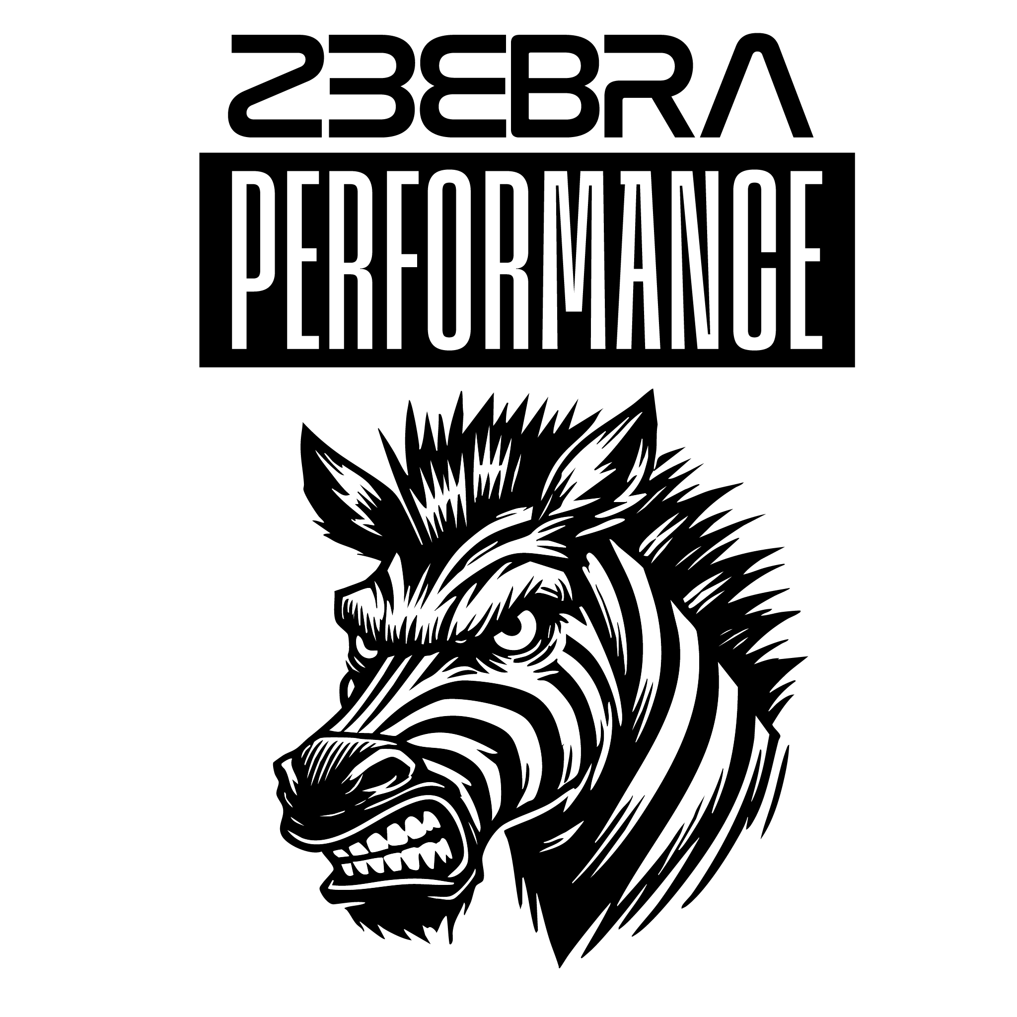 ZEEBRA Performance